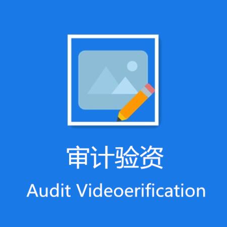 审计验资